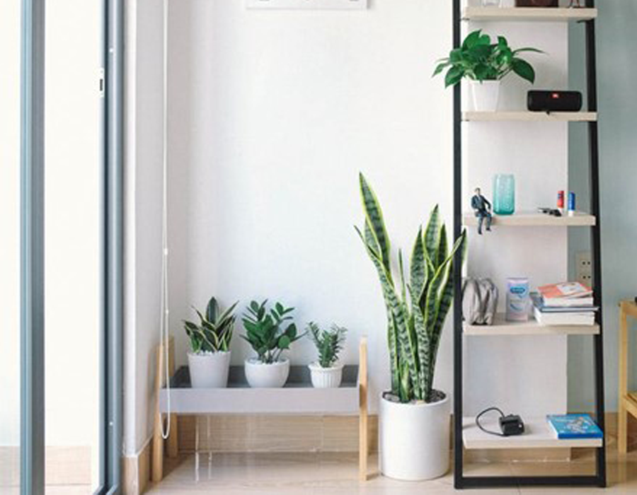 The best home storage solutions